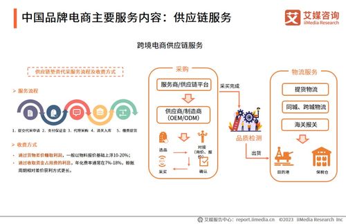 2023年中國品牌電商服務(wù)行業(yè)研究報(bào)告 信息咨詢服務(wù)深度解析
